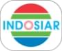 Indosiar logo
